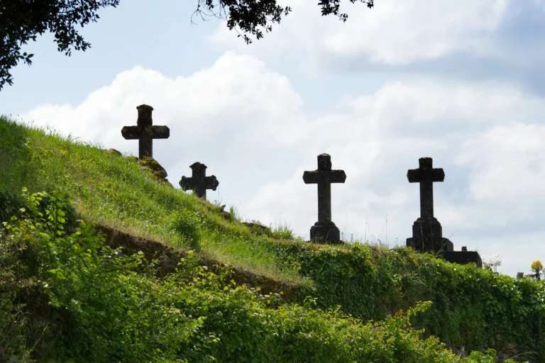 a grassy hill with crosses on top of it